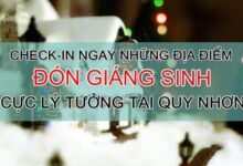 CHECK-IN NGAY NHỮNG ĐỊA ĐIỂM ĐÓN GIÁNG SINH LÍ TƯỞNG TẠI QUY NHƠN