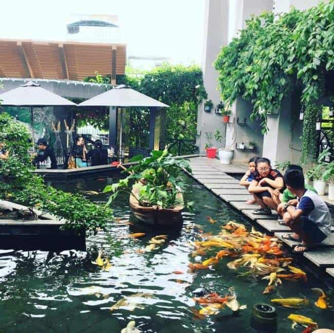 Đến Green cafe  để có những giây phút thư giãn, vui đùa cùng đàn cá tung tăng bơi lội - Ảnh: ken.nguyen.93