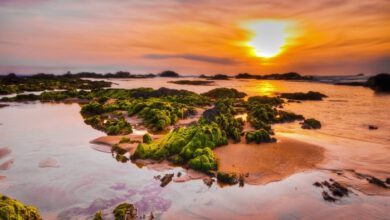 Biển Lộ Diêu - Vẻ đẹp nguyên sơ đầy quyến rũ của Bình Định
