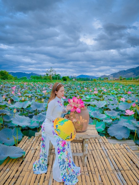 Hồ sen Bình Định. Ảnh: Mỹ Ngà