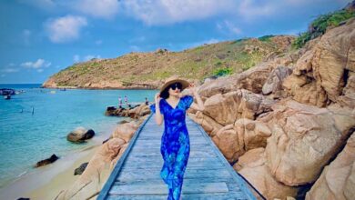 Top homestay quy nhơn view biển